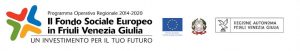 Banner del corso di instructional designer con scritto corso finanziato dal fondo sociale europeo in Friuli Venezia Giulia